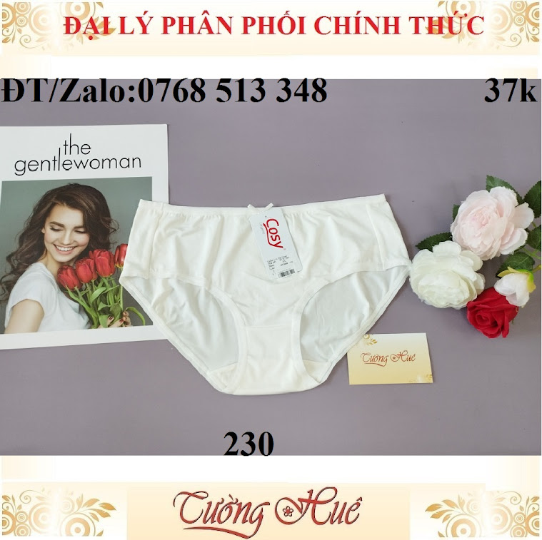 Quần lót nữ Cosy HCE 230 trơn lưng cao.