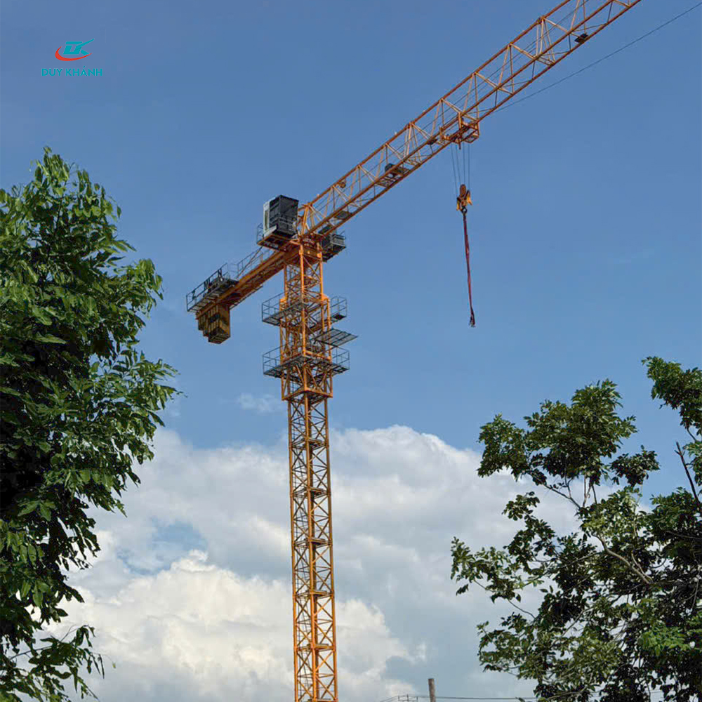 Dịch Vụ Cho Thuê Cẩu Tháp Chuyên Nghiệp