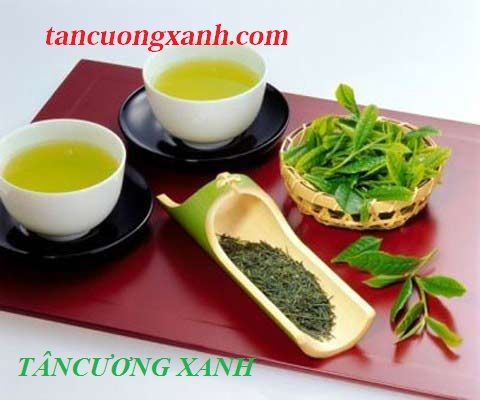 Đặc sản chè Thái Nguyên