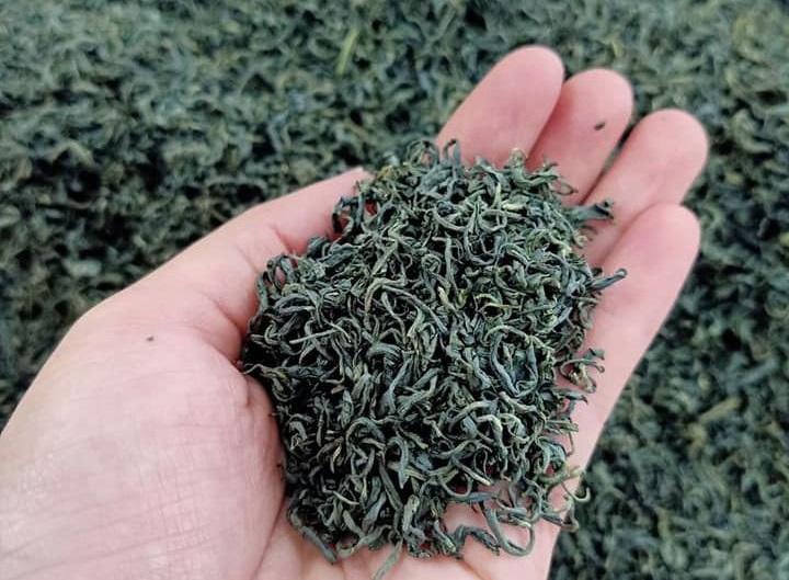 Cách nhận biết trà cũ và trà mới qua những dấu hiệu thực tế