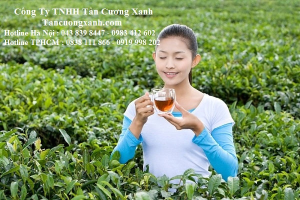 Uống trà rất tốt cho tim mạch