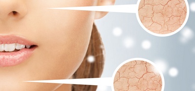 Cấu Tạo Da – Hãy Đọc Nếu Muốn Có Làn Da Đẹp
