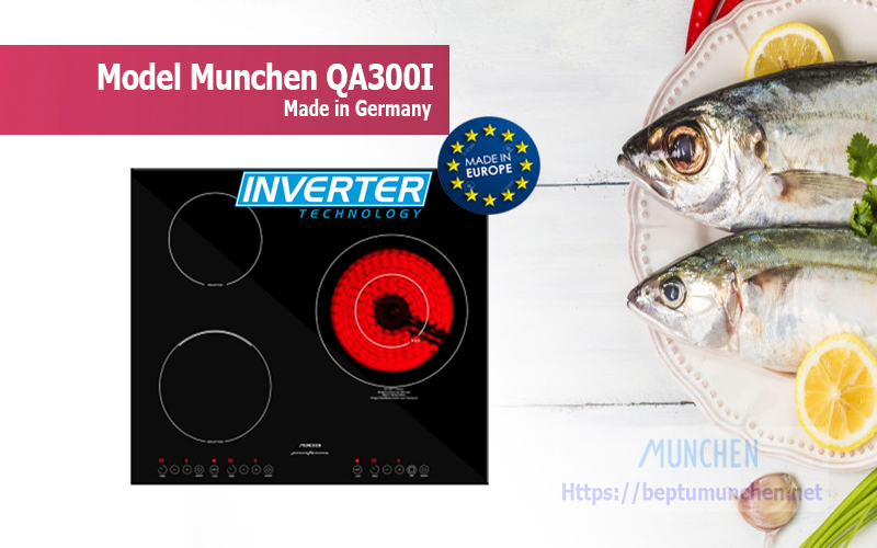 Bếp điện từ Munchen QA 300I