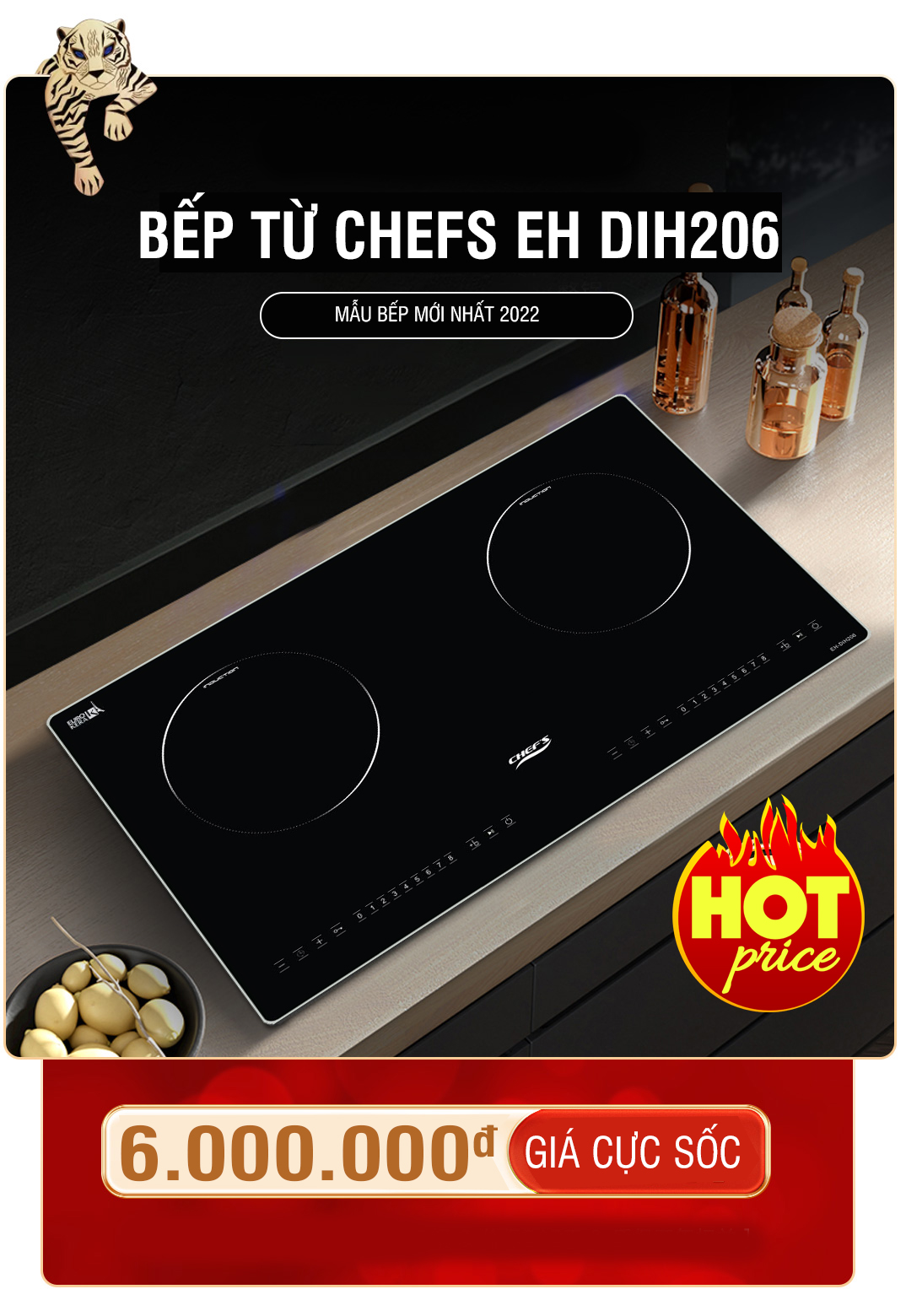  bếp từ chefs giá rẻ nhất