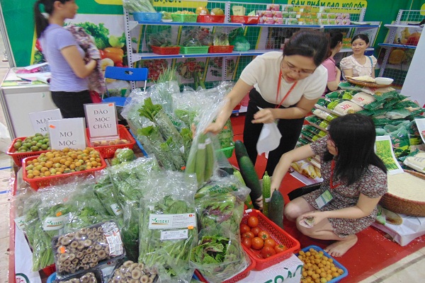 Sai lầm nghiêm trọng khi rửa rau đang rước bệnh vào nhà