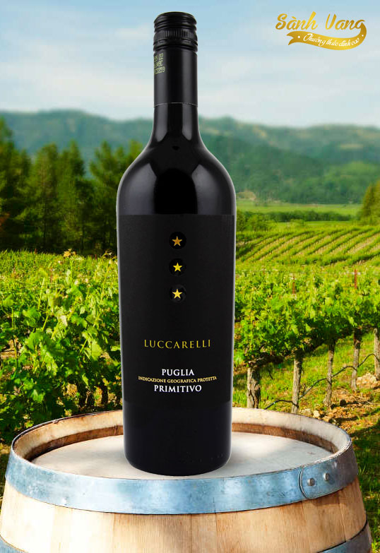 Top 4 chai vang Ý uống hằng ngày Rượu Vang Ý Luccarelli Primitivo