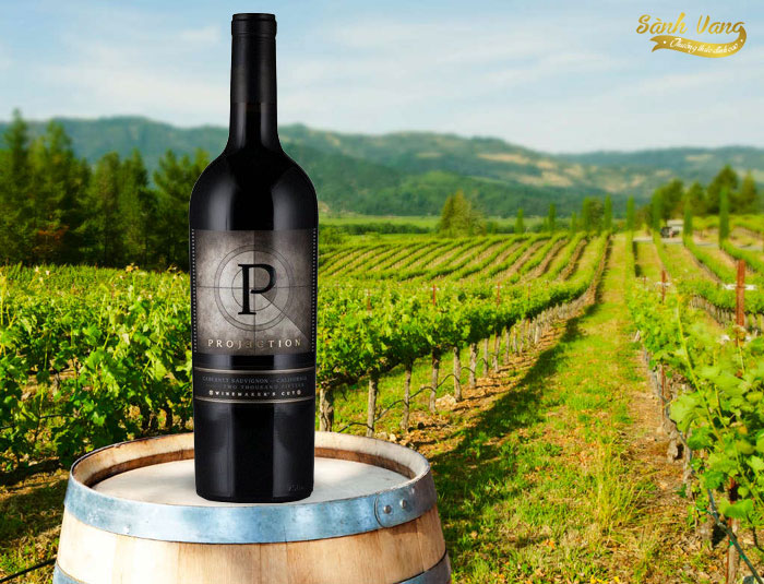 Rượu Vang Mỹ Projection Cabernet Sauvignon