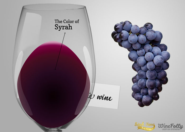 Tìm hiểu giống nho Syrah (Shiraz)