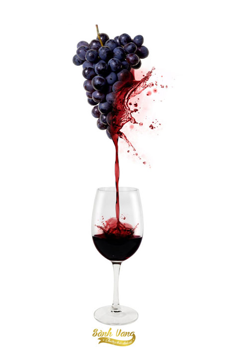 Tìm hiểu về quy trình sản xuất rượu nho và cách nhận biết