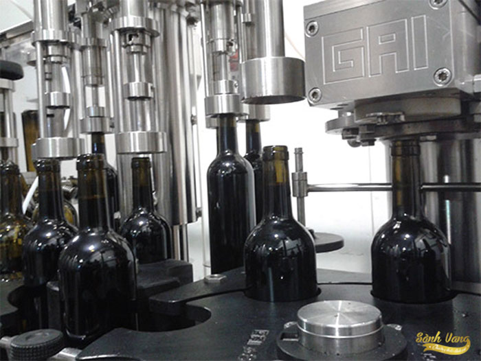 Tìm hiểu về quy trình sản xuất rượu nho và cách nhận biết