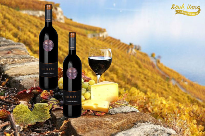 Tây Ban Nha và quy trình sản xuất rượu vang nho ⋆ Sành Vang - Cửa Hàng ...