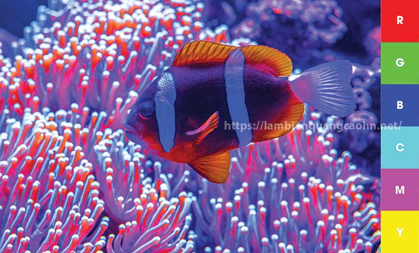 In biển quảng cáo màu RGB và CMYK