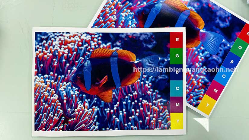 In biển quảng cáo màu RGB và CMYK