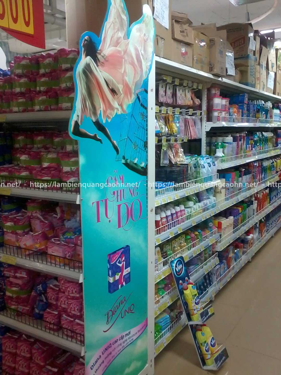 in decal pp bồi formex
