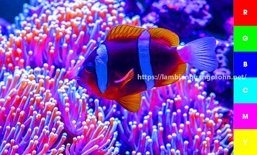 In biển quảng cáo màu RGB và CMYK