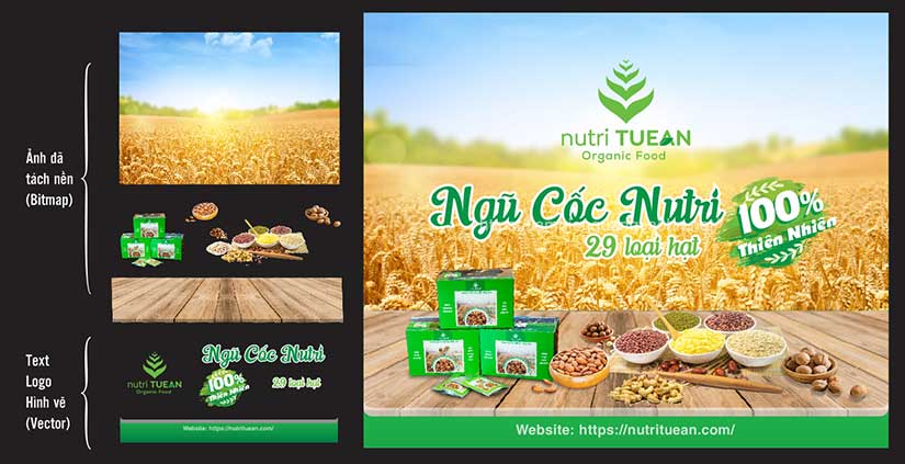 tự học thiết kế đồ họa tại nhà, tự thiết kế logo, tự học thiết kế biển quảng cáo