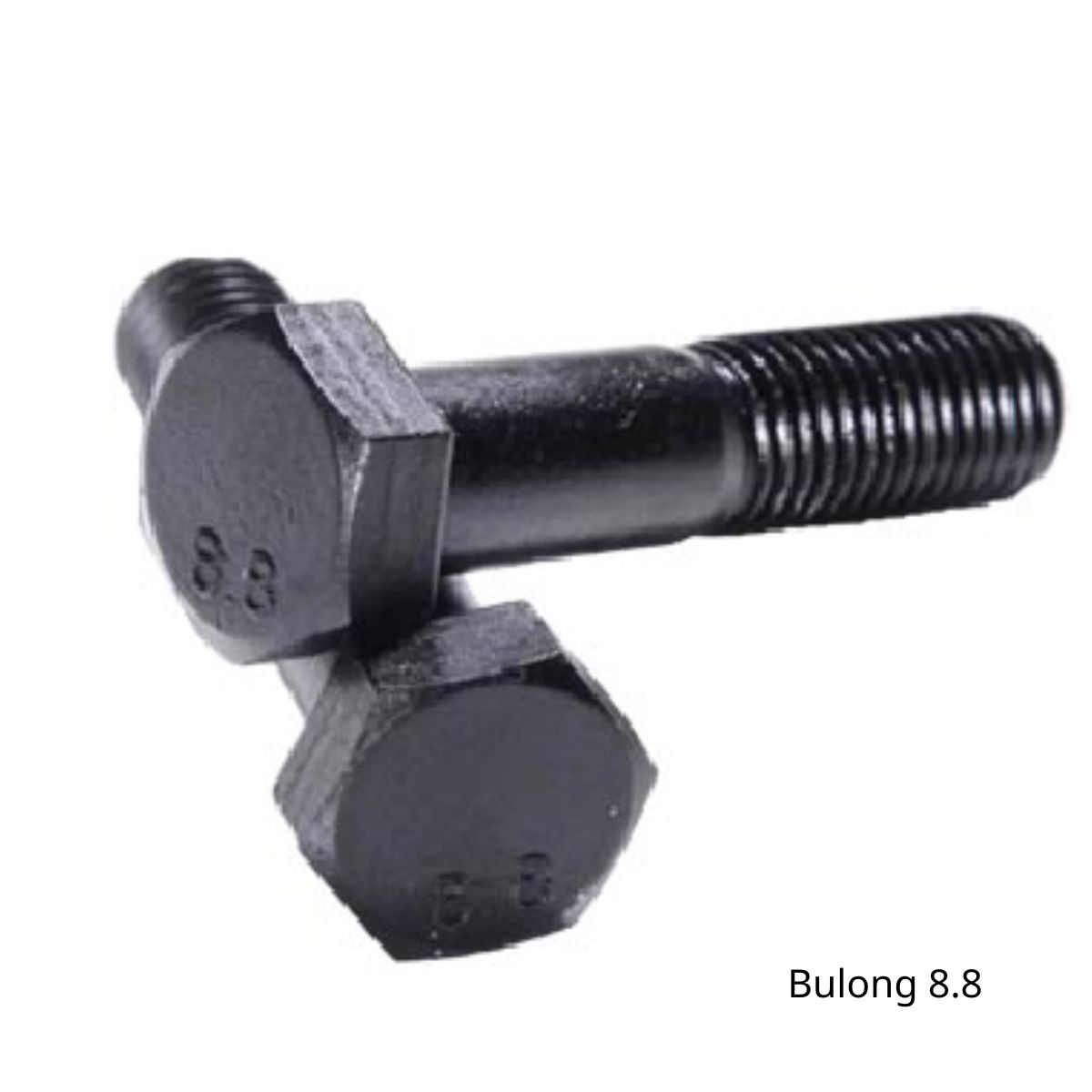 Bulong