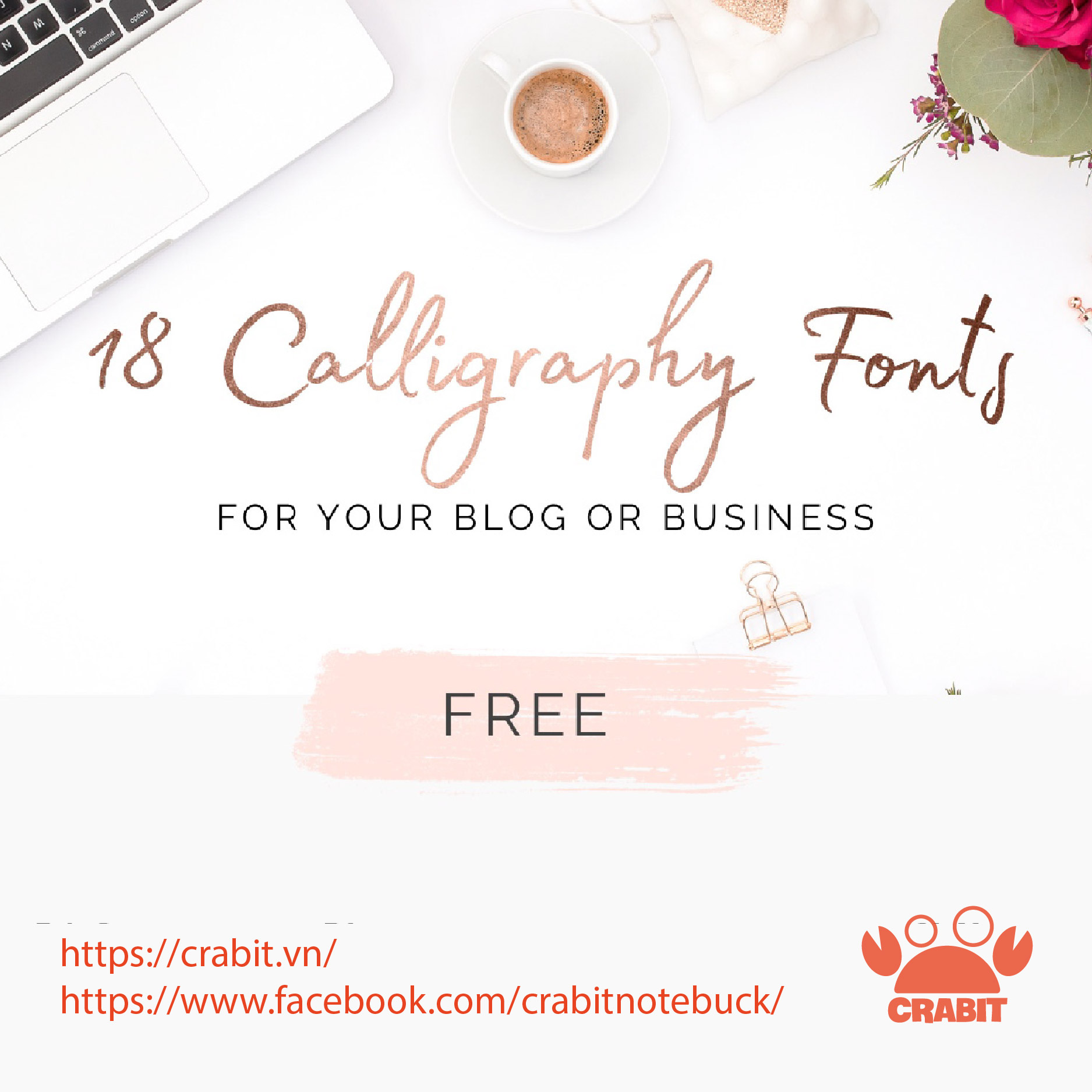 [Free] 18 Font Calligraphy nâng cấp diện mạo cho Blog và Website