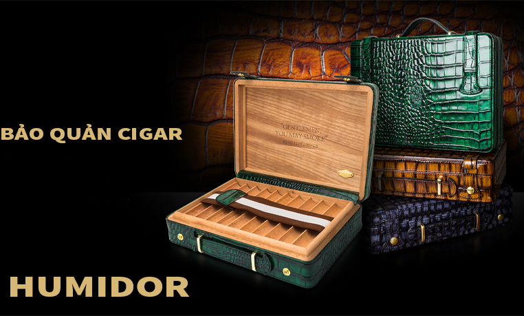 Cigar Humidors