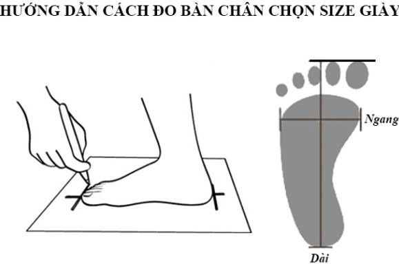 CÁCH ĐO KÍCH THƯỚC ĐỂ CHỌN SIZE GIÀY ( Ecco)