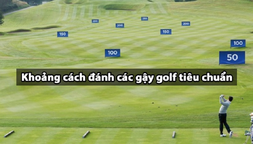 Bật bí về cách chọn gậy đánh golf cho từng khoảng cách khác nhau