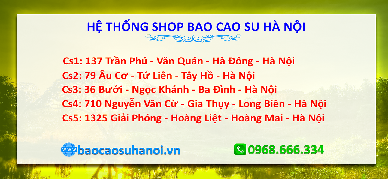 MUA BAO CAO SU SAGAMI NHẬT BẢN Ở THƯỜNG TÍN