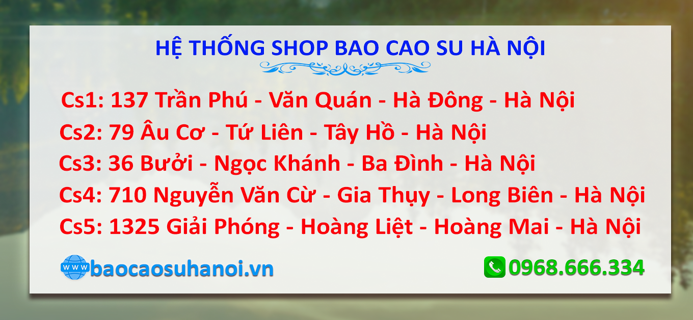 MUA BAO CAO SU SAGAMI NHẬT BẢN Ở PHÚ THỌ