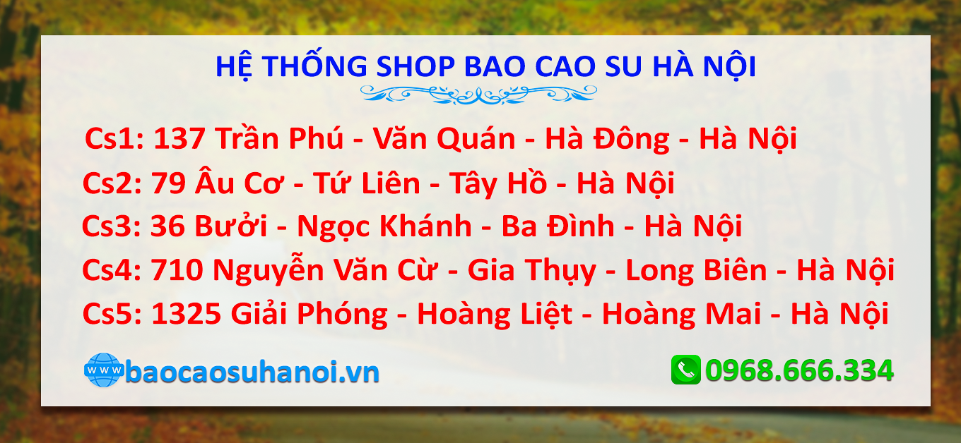 CỬA HÀNG BÁN NGỰA THÁI UY TÍN Ở ĐỐNG ĐA