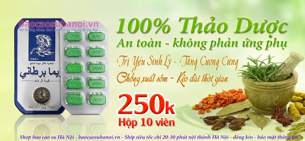 Thuốc Cường Dương Ngựa Thái - Thuốc Cường Dương Hiệu Quả Nhất 2025