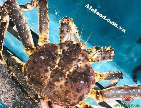 Thông Tin Cần Biết về cua nhập khẩu Alaska   – King Crab: