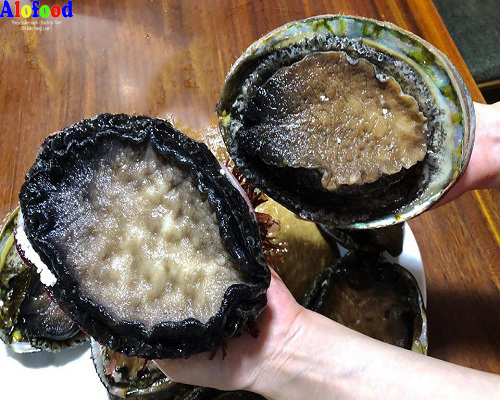 Vì Sao Bào Ngư Úc Là Lựa Chọn Tốt Nhất Cho Sức Khỏe Của Bạn?
