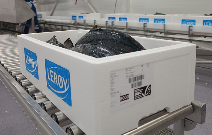 ALOFOOD - Cá Hồi Nauy Loại 1 | Giá cá hồi mới nhất tại đây