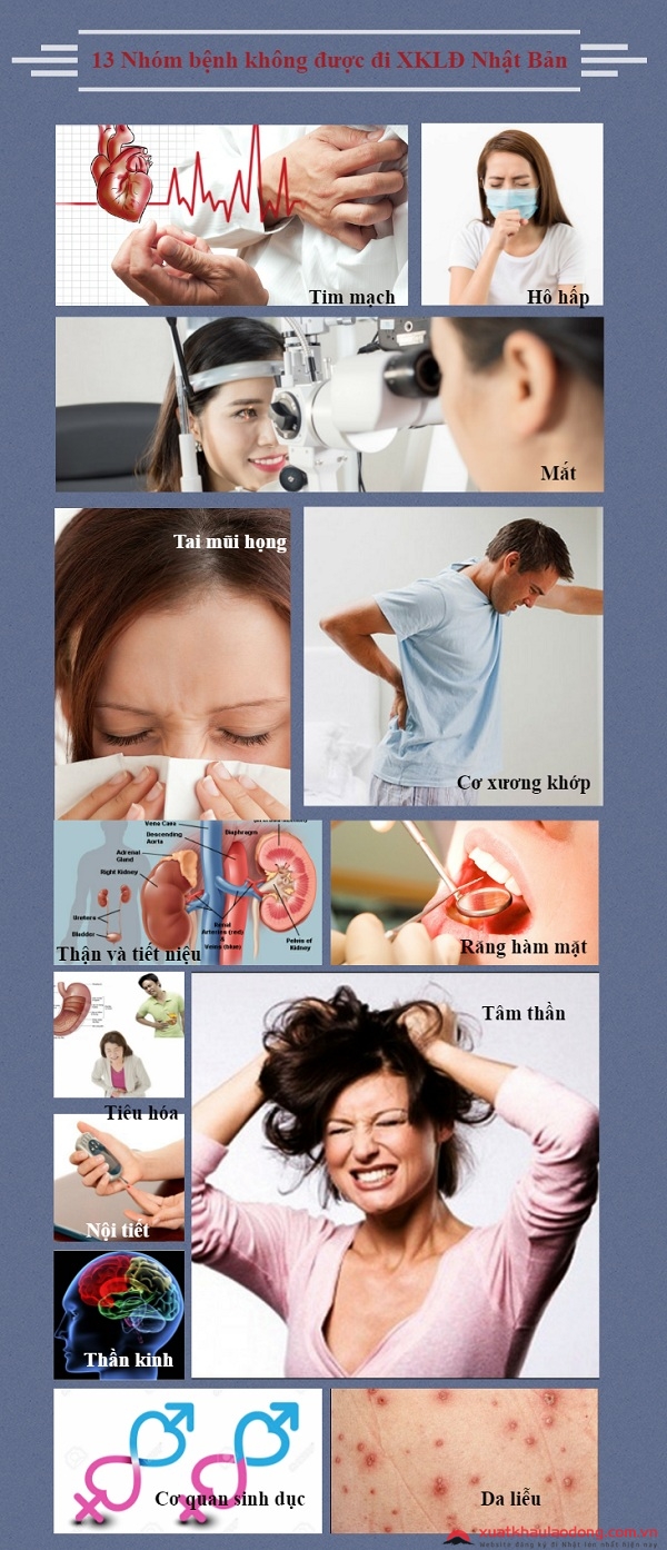 Điều kiện và thủ tục tham gia Xuất khẩu lao động Nhật Bản 2017