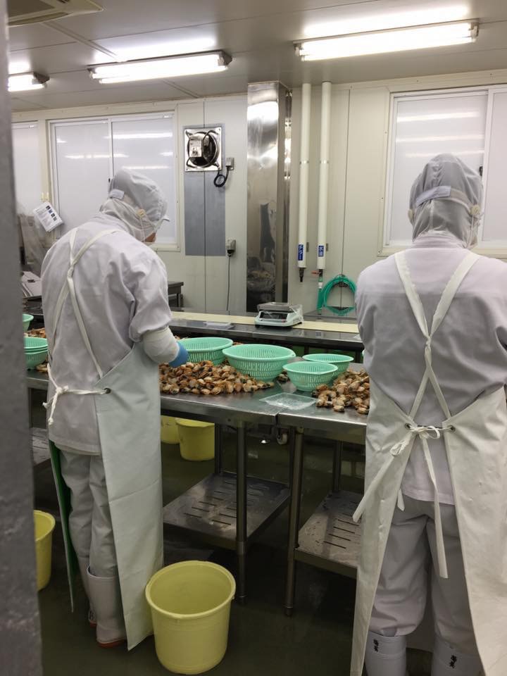 Đơn hàng chế biến thực phẩm tốt nhất tại Nhật Bản