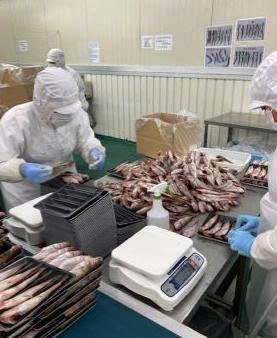 ĐƠN HÀNG CHẾ BIẾN THỰC PHẨM - HOKKAIDO