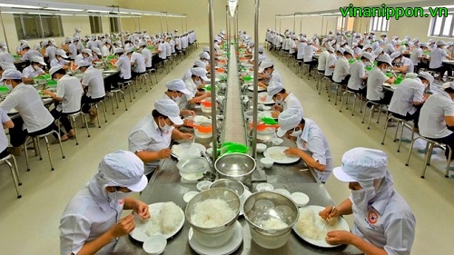 TUYỂN 8 NỮ CHẾ BIẾN THỰC PHẨM THỊT GÀ TẠI HOKKAIDO LƯƠNG VỀ TAY 16-18 MAN