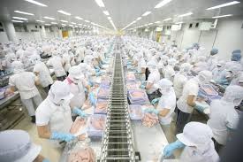 TUYỂN 6 NAM VÀ 50 NỮ CHẾ BIẾN THỦY SẢN LƯƠNG 32 TRIỆU HOKAIDO