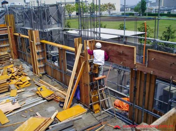 TUYỂN 6 NAM MỘC CỐP PHA TẠI CHIBA