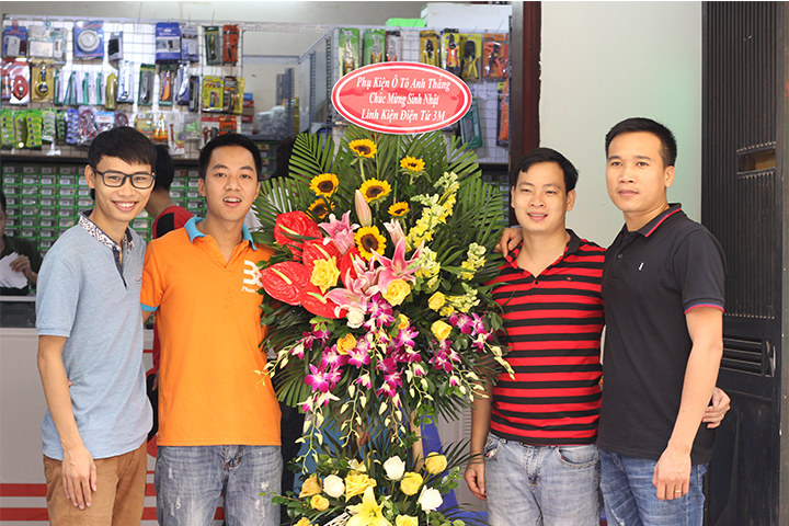 linh kiện điện tử Bình Dương