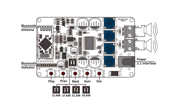 Module-TDA7492P