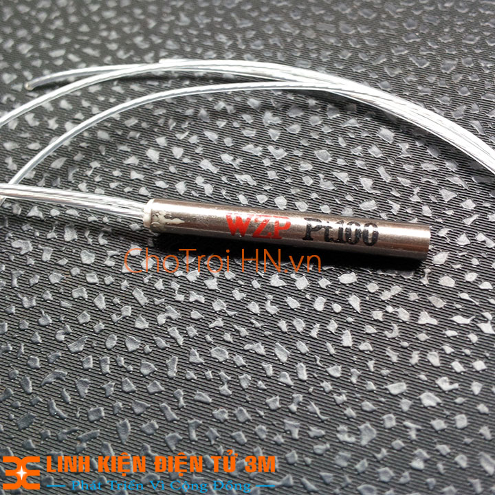 DÂY CẢM BIẾN NHIỆT ĐỘ PT100 WZP ( K1F3-2-3G )