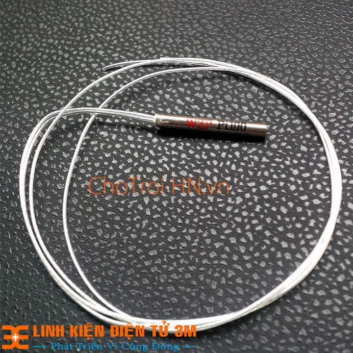 DÂY CẢM BIẾN NHIỆT ĐỘ PT100 WZP ( K1F3-2-3G )