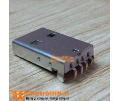 Cổng USB A - Đực DIP V1