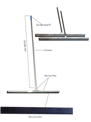 Cây Gạt Nước Sàn