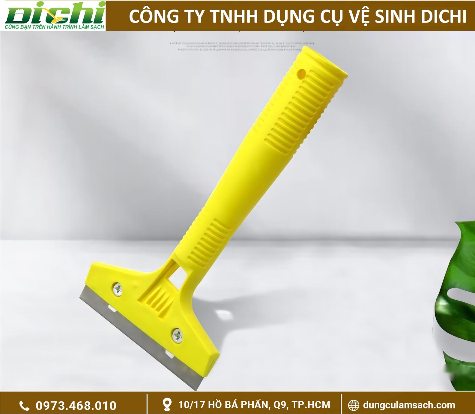 Sủi nhựa vàng