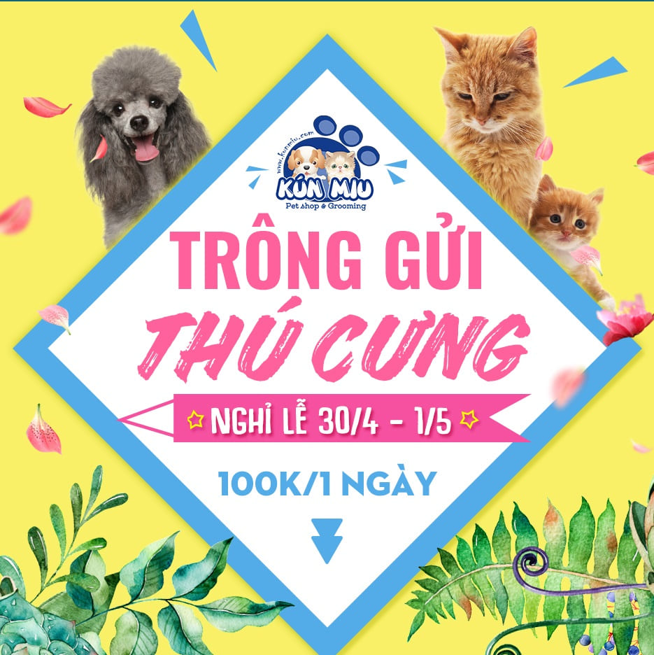 Dịch vụ trông giữ thú cưng trong dịp nghỉ lễ 30/4 - 1/5 tại Kún Miu