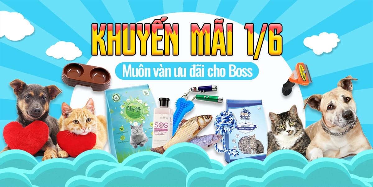 Khuyến mãi đặc biệt ngày Quốc tế thiếu nhi 1/6 cho Boss