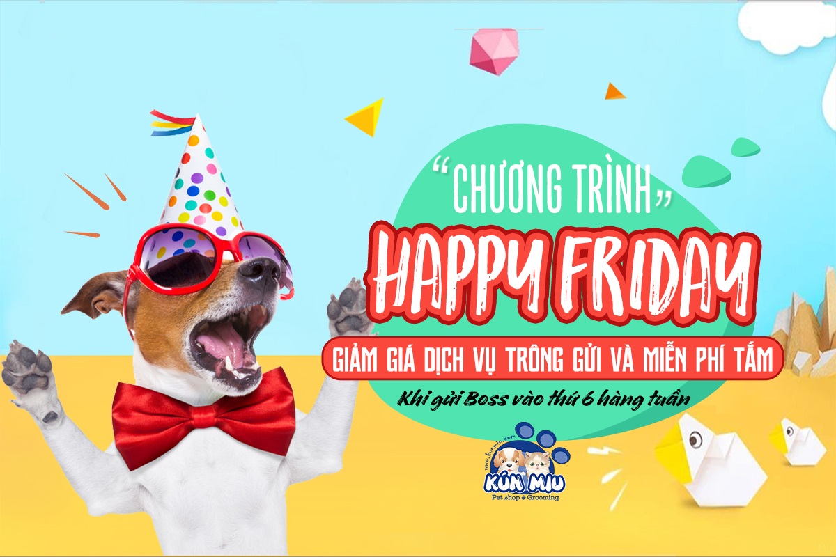 Chương trình giảm giá 15% dịch vụ trông gửi chó mèo trong tháng 6