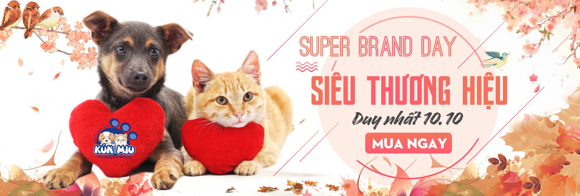 Ngày hội siêu thương hiệu với Lazada - Super Brand Day 10.10