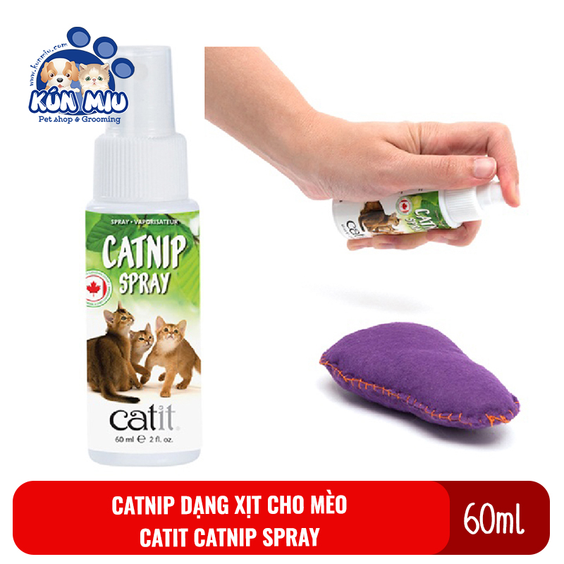 Catnip dạng xịt cho mèo Catit Catnip spray 60ml